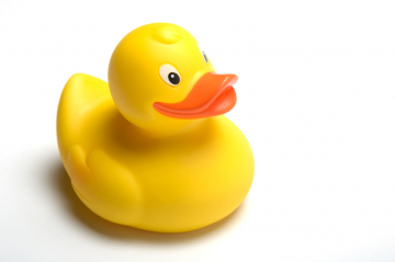 Ente